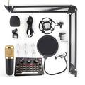 DISHENGZHEN Condenser Microphone Bundle BM-800 Streaming Equipment Mic Kit with Live Sound Card, Adjustable Mic Stand and Metal Shock Mount Podcast Microphone Kit for Recording/Broadcasting/Streaming