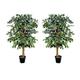 GreenBrokers Premium Artificial Variegated Ficus Tree Potted Plant 140 cm (Set of 2), Two Green, one Size