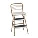 Retro Chair + Steel Step Stool with Flip-Up Seat