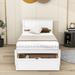 Red Barrel Studio® Twin Storage Platform Bed Wood in White | 36 H x 42 W x 76 D in | Wayfair FAAF70E266C04D1C95BE28CA000D0CD8