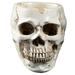 Hemoton Resin Human Skull Ashtray Home Ornaments Scary Halloween Decorations Bar Decors Smoking Room Accessories