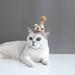 Pet Cat Teddy Dog Birthday Hat Stereo Ball Ball Hat Plush Cartoon Doll Christmas Hat Headdress A