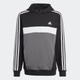 Kapuzensweatshirt ADIDAS SPORTSWEAR "TIBERIO 3STREIFEN COLORBLOCK KIDS HOODIE" Gr. 164, schwarz-weiß (black, white, grey five) Kinder Sweatshirts