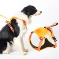 Collier de chien SFP pour chiens moyens et grands VPN poinçon résistant à la pression respirant