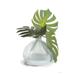 Bay Isle Home™ Akkaya Monstera Leaf Vase by House Fenway Canvas in Green/White | 12 H x 8 W x 1.25 D in | Wayfair 85BAEE4CB9B942D4A1BC0088795DCD84