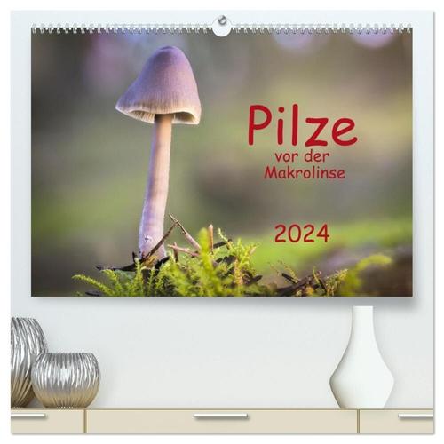 Pilze Vor Der Makrolinse 2024 (Hochwertiger Premium Wandkalender 2024 Din A2 Quer), Kunstdruck In Hochglanz