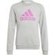 ADIDAS Kinder Sweatshirt Essentials Big Logo Cotton, Größe 140 in Silber