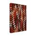 Wrought Studio™ Akitoshi Earthy Color Zig Zag Pattern Canvas, Cotton in Red | 19 H x 12 W x 2 D in | Wayfair 2ABF466C7E40434690CBD716AEE85B7F