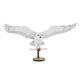 Metal Earth Fascinations PS2007 Metal Construction Kits - Harry Potter Snow Owl Hedwig, Laser Cut 3D Construction Kit, 3D Metal Puzzle, DIY Model Kit with 2.5 Metal Boards, from 14 Years