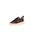 Apple of Eden Sneaker Damen taupe, 41