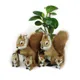 19*18cm 2 Size Stuffed Toys Lovely Squirrel Simulation Animal Stuffed Plush Toy Kids Toy Decorations