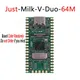 RISC-V milch-v duo 2core 1g cv1800b tpu RAM-DDR2-64M linux board kompatibel mit raspberry pi pico