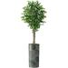 Artificial Tree In Contemporary Planter Fake Ficus Silk Tree For Indoor And Outdoor Home Decoration - 75 Overall Tall (Plant Plus Tree)