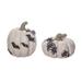 Transpac Resin 6.25 in. Multicolor Halloween Faux Hand carved Pumpkin Set of 2 - White/Black