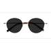 Unisex s round Bronze Metal Prescription sunglasses - Eyebuydirect s Sun Albee