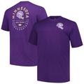 Men's Profile Purple Minnesota Vikings Big & Tall Two-Hit Throwback T-Shirt