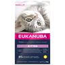 2kg Healthy Start Kitten Eukanuba Dry Cat Food