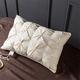 Goose Down Pillow, Hotel Pillow, Super Soft Hotel Quality 100% White Goose Down White Pillow 48 X 74 Cm (beige,2 packs)