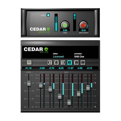 CEDAR Audio Cedar Studio 9 DNS Plug-In CS9 DNS