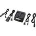 Sony Used AC Adapter and Twin Charger For L-Series Batteries ACVQ1051D