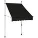 vidaXL Retractable Awning with Hand Crank Sunshade Shelter for Patio Outdoor - 39.4"