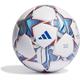 ADIDAS Ball UCL 23/24 Group Stage League, Größe 5 in Grau