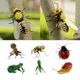 True To Nature Insect Ornament Fridge Magnet Animal Display Outdoor Patio Animal Miniature Garden