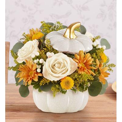 1-800-Flowers Seasonal Gift Delivery Plentiful White Pumpkin Large