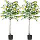 Kazeila Artificial Plant 120cm Artificial Lemon Tree Fake Plants Tree Faux Tall Plant for Indoor Outdoor Decoration Home Living Room(2Pack)