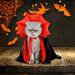 Halloween Decorations Savings Halloween Pet Clothes Cats Spooky Costumes Cats Cape Pet Party Vampires Crossdressing Halloween Pet Cats Dogs Dogs Cape Decoration Transforming Witch Clothe Black Red