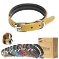 Filbert Padded Leather Dog Collar for Large Dogs Medium & Small Dogs Leather Collar for Dogs Yellow Dog Collar +12 Colors Genuine Leather Dog Collars + Leather Lining Luxury Dog Collar