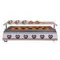 6 Burner Gas BBQ Grill Barbecue Table Top Grill Outdoor Cooking Stainless Steel