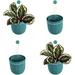 loop hanging wall planter indoor flowerpot hanging planter for indoor and outdoor planting mount on wall or ceiling (teal 4 pack)