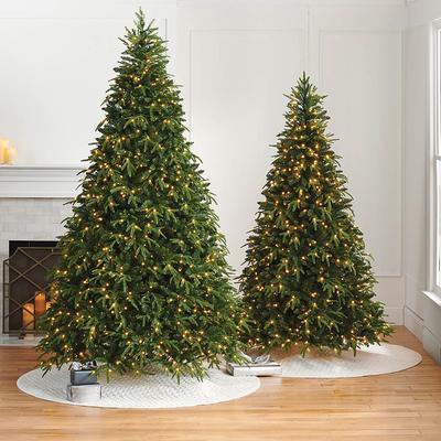 Ashland Downswept Fir Tree - 9' - Frontgate - Christmas Tree
