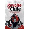 Revolte in Chile - Sophia Boddenberg