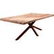 Esstisch SIT Tische Gr. B/H/T: 220 cm x 76 cm x 100 cm, 220x100 cm, beige (natur, antikbraun, natur) Esstische rechteckig