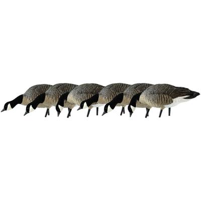 Avian X AXP Honker Sentry-Walker Decoy Black AVX-HONK-6PK