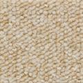 VORWERK Teppichboden "Schlingenteppich Passion 1005 (Luco)" Teppiche Gr. B/L: 500 cm x 800 cm, 6 mm, 1 St., weiß (weiß hellbeige) Teppichboden