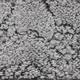 BODENMEISTER Teppichboden "Schlingenteppich Doradas" Teppiche Gr. B/L: 400 cm x 350 cm, 9,5 mm, 1 St., silberfarben (hell, grau silber) Teppichboden