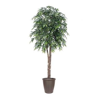 Vickerman 701492 - 6' Green Smilax Deluxe Round Brown Cont (TDX1460-RB) Smilax Home Office Tree