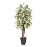 Vickerman 702185 - 6' Frosted Maple Executive Rnd Gray Cont (TEX1760-RG) Maple Home Office Tree
