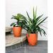 Orange Ceramic Plant And Flower Pots - Large 10â€� X 9â€� - For Indoor Plant Pots & Outdoor Planter (Both)