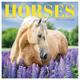 2024 TF Publishing Horses 7 x 7 Monthly Mini Wall Calendar (24-2008)