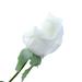 Artificial Roses Flowers Fake Flower with Stem Realistic Blossom with Long Stem