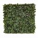 Primrue Pasadena Single Side Expandable Faux Hedge Artificial Ivy Fencing Wood in Brown/Green | 116 H x 48 W x 1 D in | Wayfair