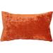 House of Hampton® Roxy Pillow Cover & Insert Polyester/Polyfill blend in Orange | 12 H x 20 W x 6 D in | Wayfair ABABC31D01A24D7C86274C2D65DCCBCA