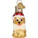 Old World Christmas Mini Glass Blown Jolly Pup Hanging Figurine Ornament Glass | 2 H x 1 W x 1 D in | Wayfair 85254