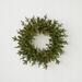 Seasonal Dandan Faux Lighted Plug-In 24" Wreath in Green | 5 H x 24 W x 24 D in | Wayfair JCDDPW2423CLD