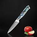 Senken Knives 3.5" Damascus Steel Paring Knife w/ Real Abalone Shell Handle - Japanese VG10 Steel | Wayfair Umi_Paring