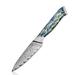 Senken Knives 3.5" Damascus Steel Paring Knife w/ Real Abalone Shell Handle - Japanese VG10 Steel | Wayfair Umi_Paring